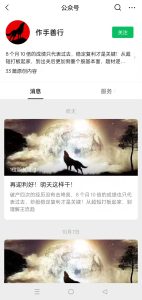 若风《龙头的黄金博弈短训营》21天掌握一个龙头战法