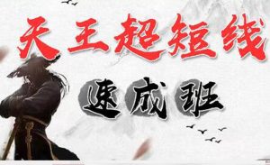 游资张天王：天王超短线速成班