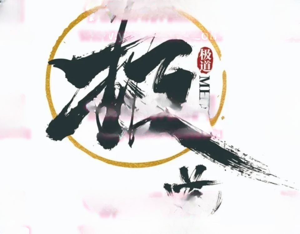 「极道」 作手逍遥风逍遥风系列课之白骑系列涨停趋势实战初阶课   
