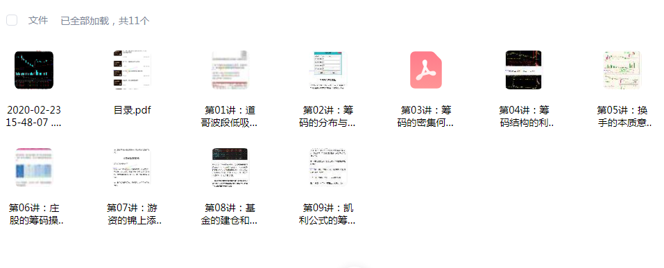 【道哥】道哥波段低吸高抛战法 筹码课程 11文件