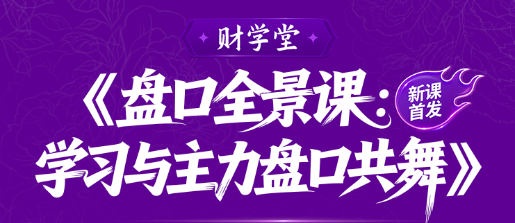 雨禾《盘口全景课：学习与主力盘口共舞》盘口系统课
